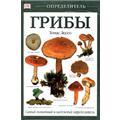 Грибы