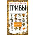 Грибы