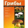 Грибы