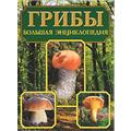 Грибы
